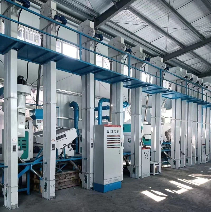 product-800-807 product-800-807